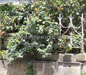 copyright: www.zollgrenzschutz.de
